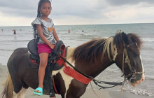 AV COLOMBIA20