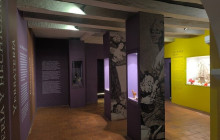 AV COLOMBIA33