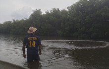 AV COLOMBIA10