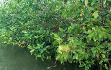 AV COLOMBIA21