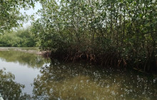 AV COLOMBIA28
