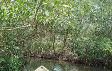 AV COLOMBIA30