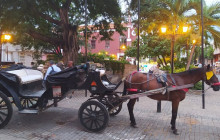 AV COLOMBIA4
