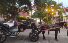 AV COLOMBIA5