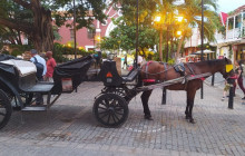 AV COLOMBIA7