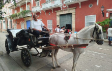 AV COLOMBIA14