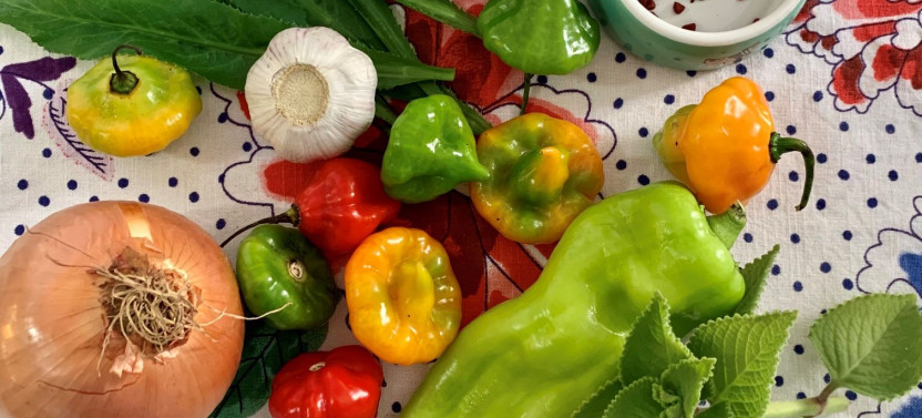 Private Puerto Rican Cooking Class in San Juan with Chef Viviana