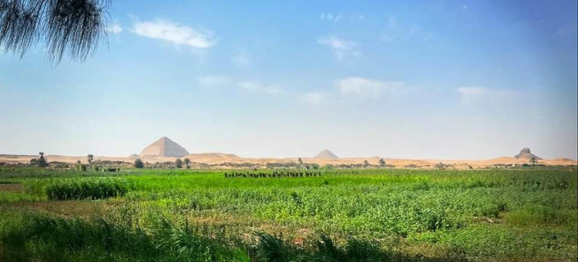 Authentic Food Experience with Local Farmers in Cairo Countryside