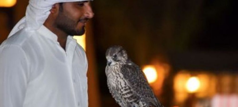 VIP Majlis with Camel Ride, Dinner & Entertainment