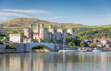 The Pure Travel Group Ltd5