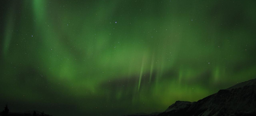 Northern Lights Viewing Tour