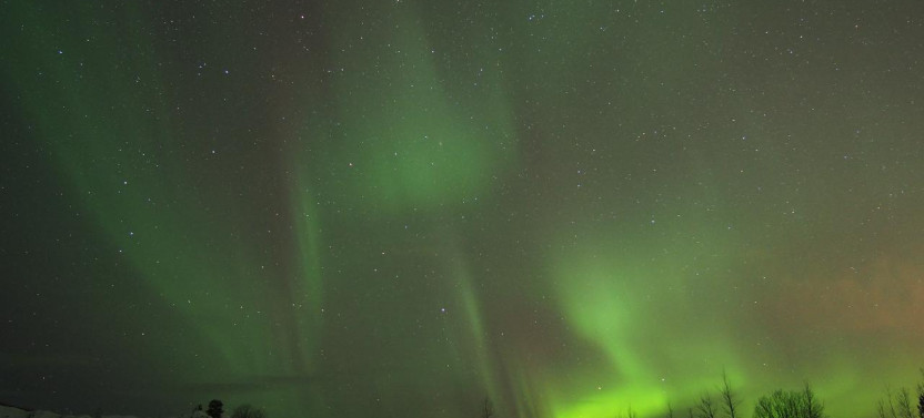 Northern Lights Viewing Tour