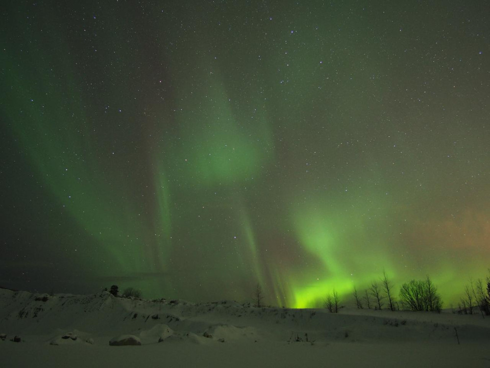 Northern Lights Viewing Tour