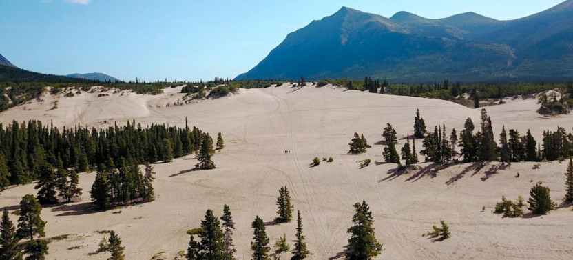 Yukon Gold Experience Feat. Emerald Lake & Carcross
