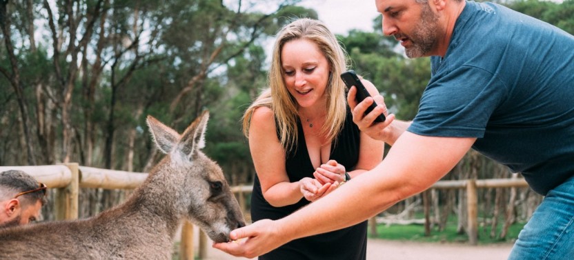Private Phillip Island & Mornington Day Tour