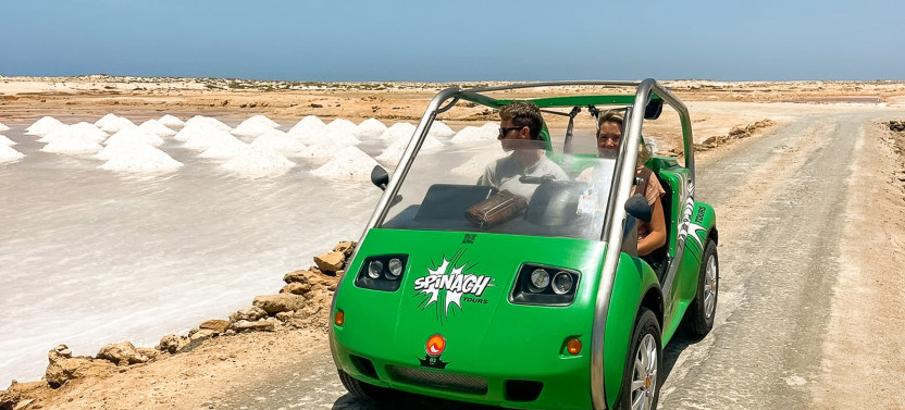 Sal Island Excursion