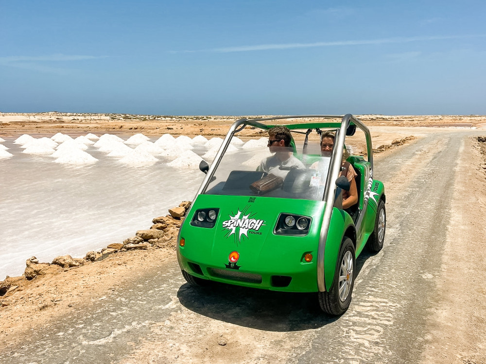 Sal Island Excursion