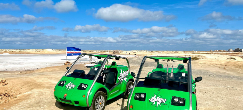 Electric Car Rental - 4 Hrs