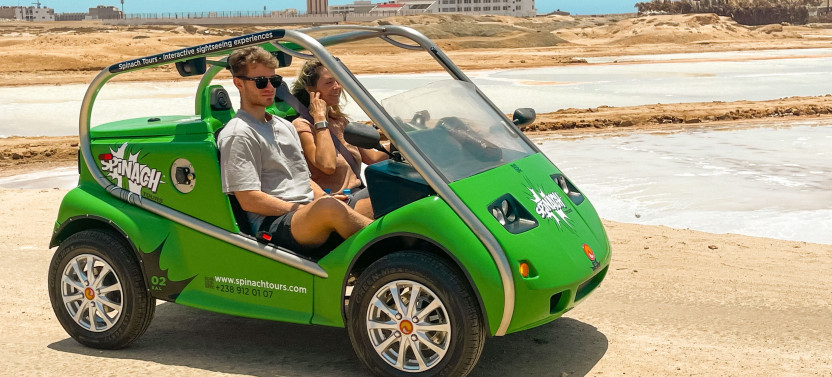 Electric Car Rental - 4 Hrs