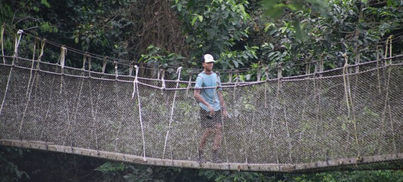 Kakum National Park and Cape Coast Castle Day Tour