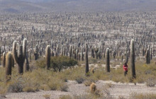 La Quebrada Turismo16