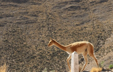 La Quebrada Turismo34