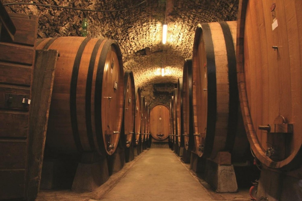 brunello wine tour from siena