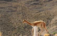 La Quebrada Turismo36