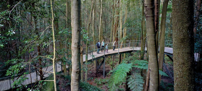 Blue Mountains Tour