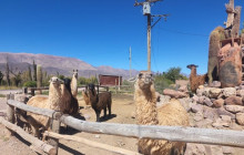 La Quebrada Turismo12