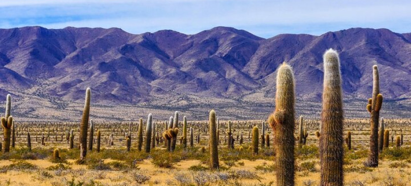 3 Days Tour From Salta: Cafayate, Cachi & Humahuaca