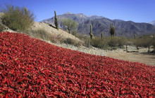 La Quebrada Turismo14