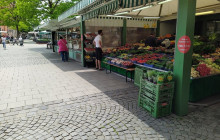Munich Art Tours3