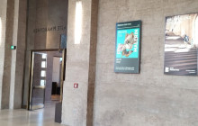 Munich Art Tours8