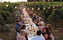 Dinner In The Chianti Vineyards