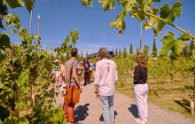 Ciao Florence Tours and Travels Srl13