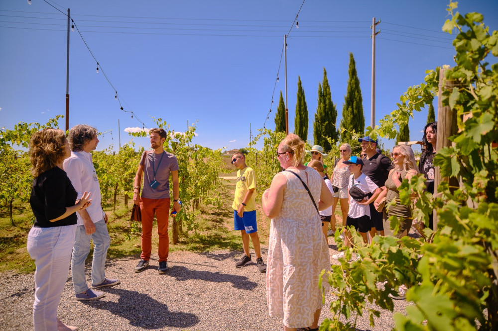 Small Group Tour To Siena, San Gimignano & Chiant Wine Region With Tasting