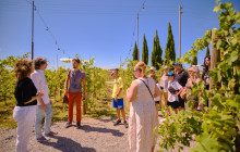 Ciao Florence Tours and Travels Srl1