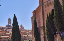 Ciao Florence Tours and Travels Srl20