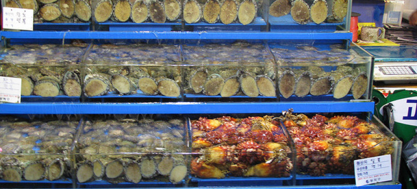 The Noryangjin Seafood Market Personalized Experience