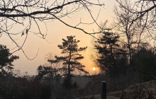 ZenKimchi Experiences2