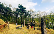 ZenKimchi Experiences5