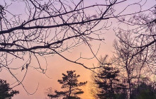 ZenKimchi Experiences10