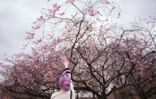 ZenKimchi Experiences6