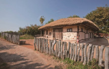 ZenKimchi Experiences15