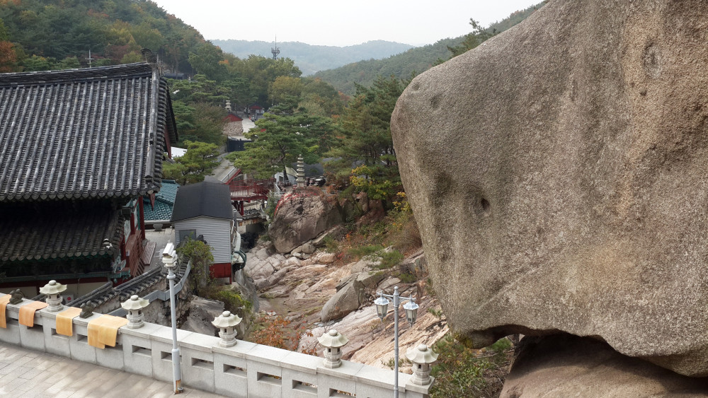 ZenKimchi Experiences