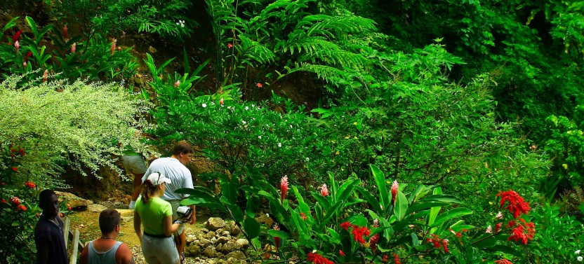 Soufriere Island Delight Excursion with Sulphur Springs + Volcano