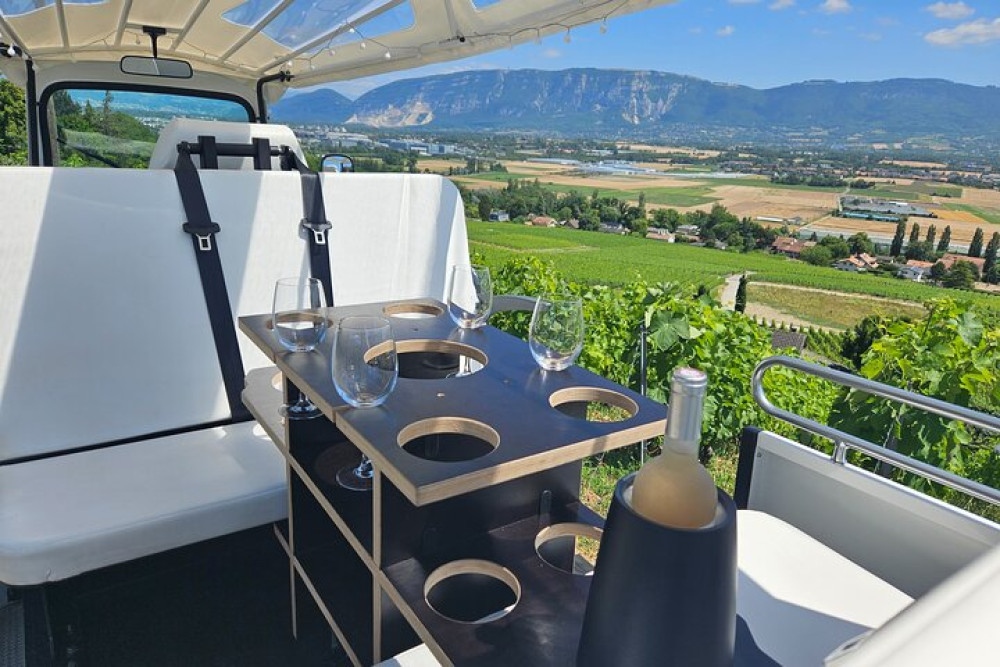 Immersion in the Geneva Vineyards by Tuktuk with Tasting
