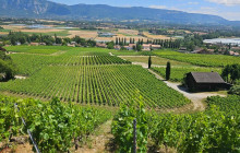 Karry Me (Swiss Tuk Tuk & Transfers)3