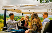 Karry Me (Swiss Tuk Tuk & Transfers)12